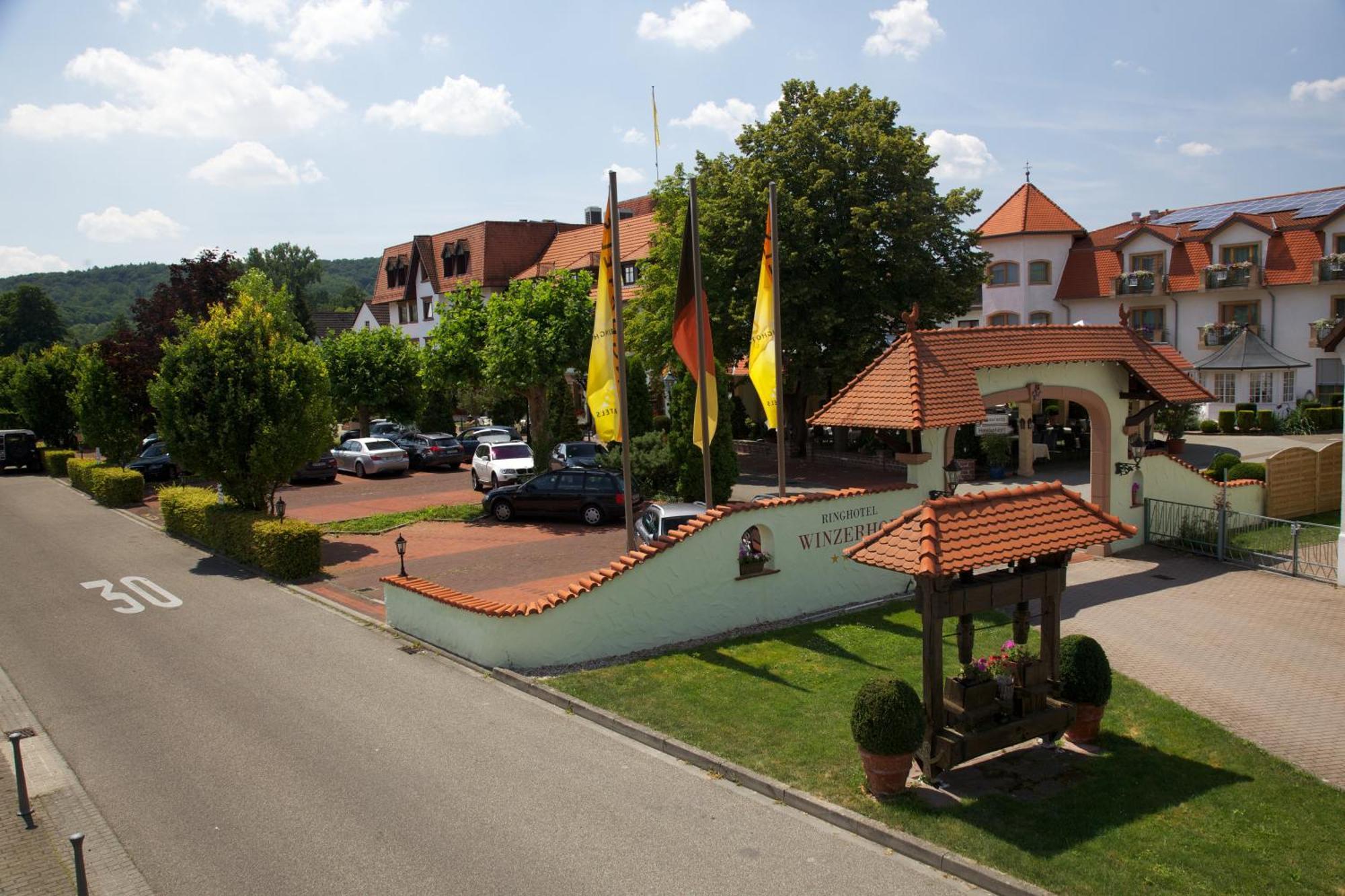 Ringhotel Winzerhof Rauenberg  ภายนอก รูปภาพ